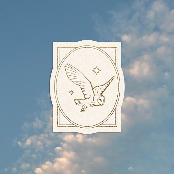 Owl emblem framed in stars against a blue sky; ‘Beyond’ category cover for resources and tools for energetic alignment