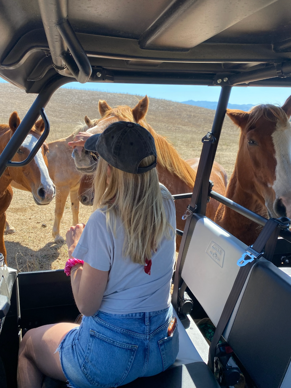 Founder Sierra in western landscape surrounded by horses, reflecting holistic self help and healing through intuition.