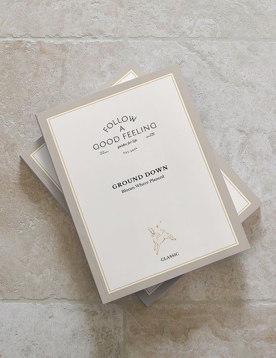 Stack of Follow A Good Feeling's transformational workbooks for personal growth and emotional healing on soft textured background